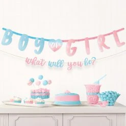 AMSCAN Gender Reveal Letter Banner Kit