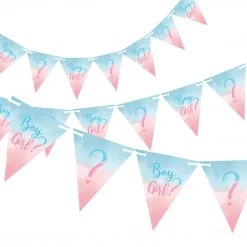 AMSCAN Gender Reveal Pennant Banner