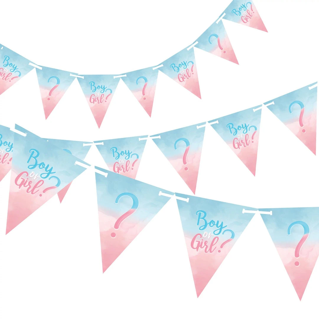 AMSCAN Gender Reveal Pennant Banner 1 AMSCAN Gender Reveal Pennant Banner