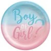 AMSCAN Gender Reveal Dessert Plates