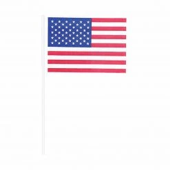 AMSCAN Patriotic Flag Picks 120ct