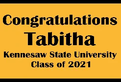 PARTY AMERICA Kennesaw State University Banner D Collegiate