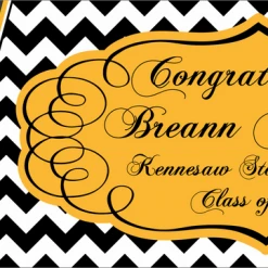 PARTY AMERICA Kennesaw State University Banner E