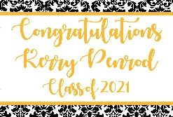 PARTY AMERICA Collegiate Kennesaw State University Banner G