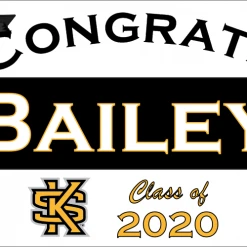 PARTY AMERICA Kennesaw State University Graduation Yard Sign 18" X 24" GLS06 Collegiate