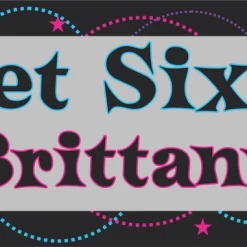 PARTY AMERICA Sweet Bright Banner